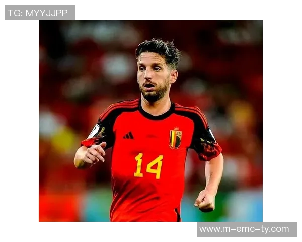 比利时足球球星的辉煌历程与对世界足球的影响分析